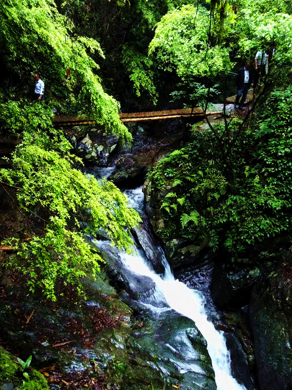 平江县芦头生态美景从"深闺"亮相全国