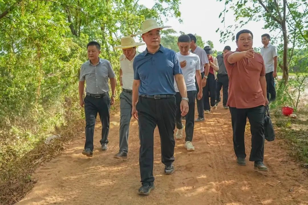 李勇督导灾后恢复重建工作