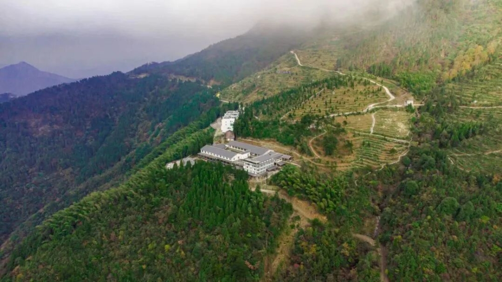 ƽ�����ҵ����! ��Щ�����ò���ȹ���?