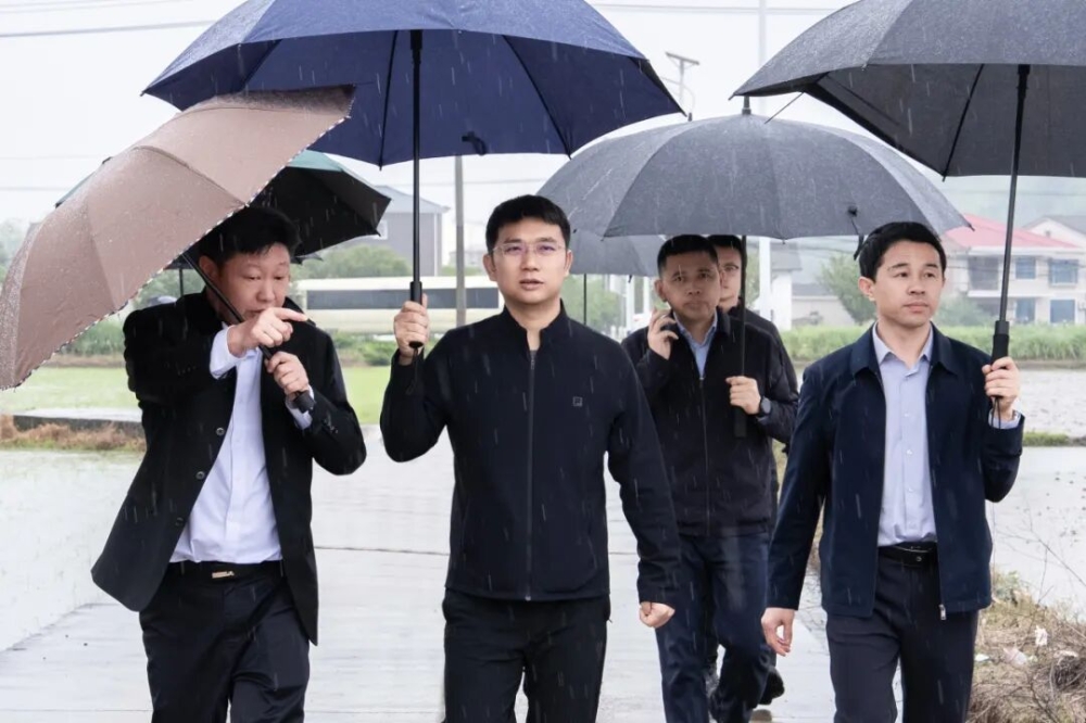 ����������Ѵ��Ѵ��������������